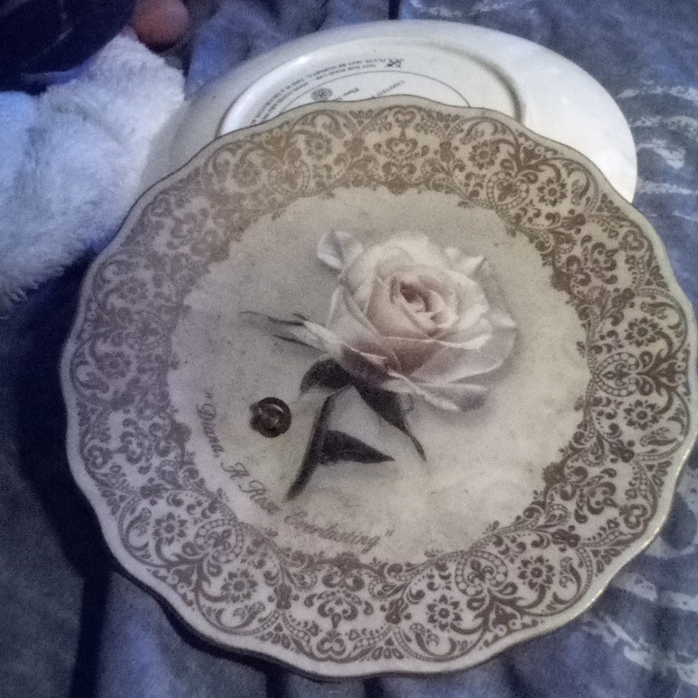 Plate